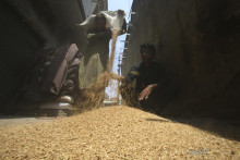 Pracovníci triedia pšenicu na trhu v pakistanskom Pešávare. FOT:O TASR/AP