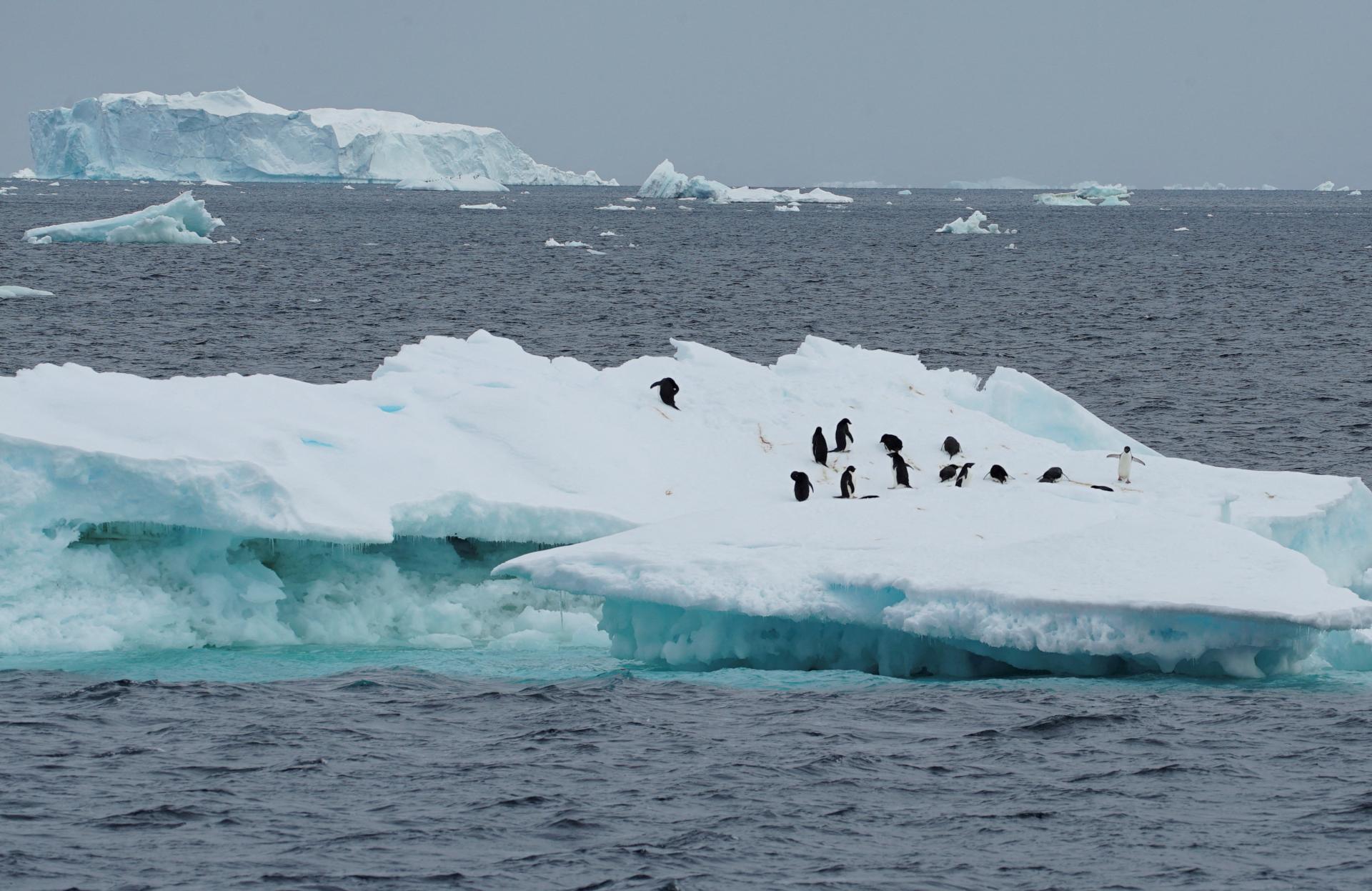 Vedci: Extrémne klimatické zmeny v Antarktíde sú prakticky isté. Čoskoro to môžeme pocítiť všetci