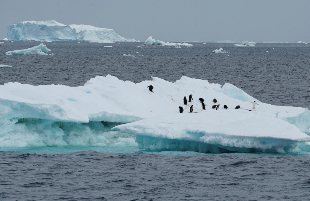 Klimatické zmeny v Antarktíde budú mať vplyv na celý svet.