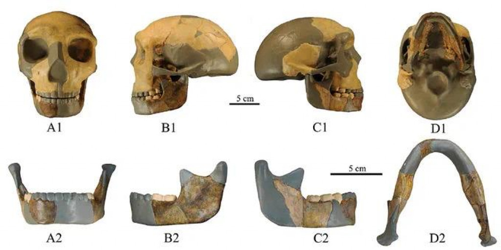 Praveká lebka objavená v Číne nepatrí žaidenmu známemu humaniodnému druhu.