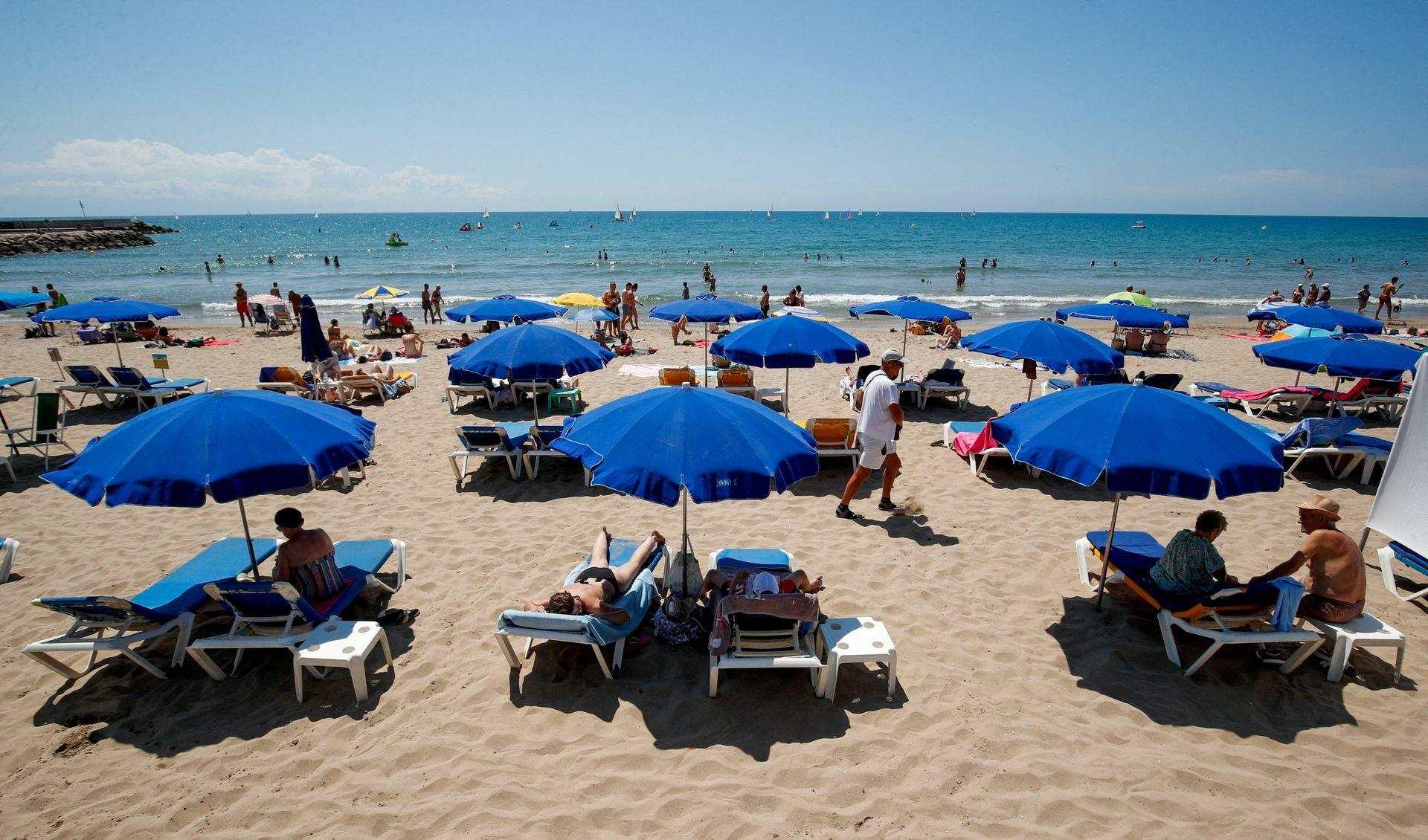 Pláže na juhu Španielska obsadzujú diviaky. Hľadajú jedlo v taškách opaľujúcich sa turistov