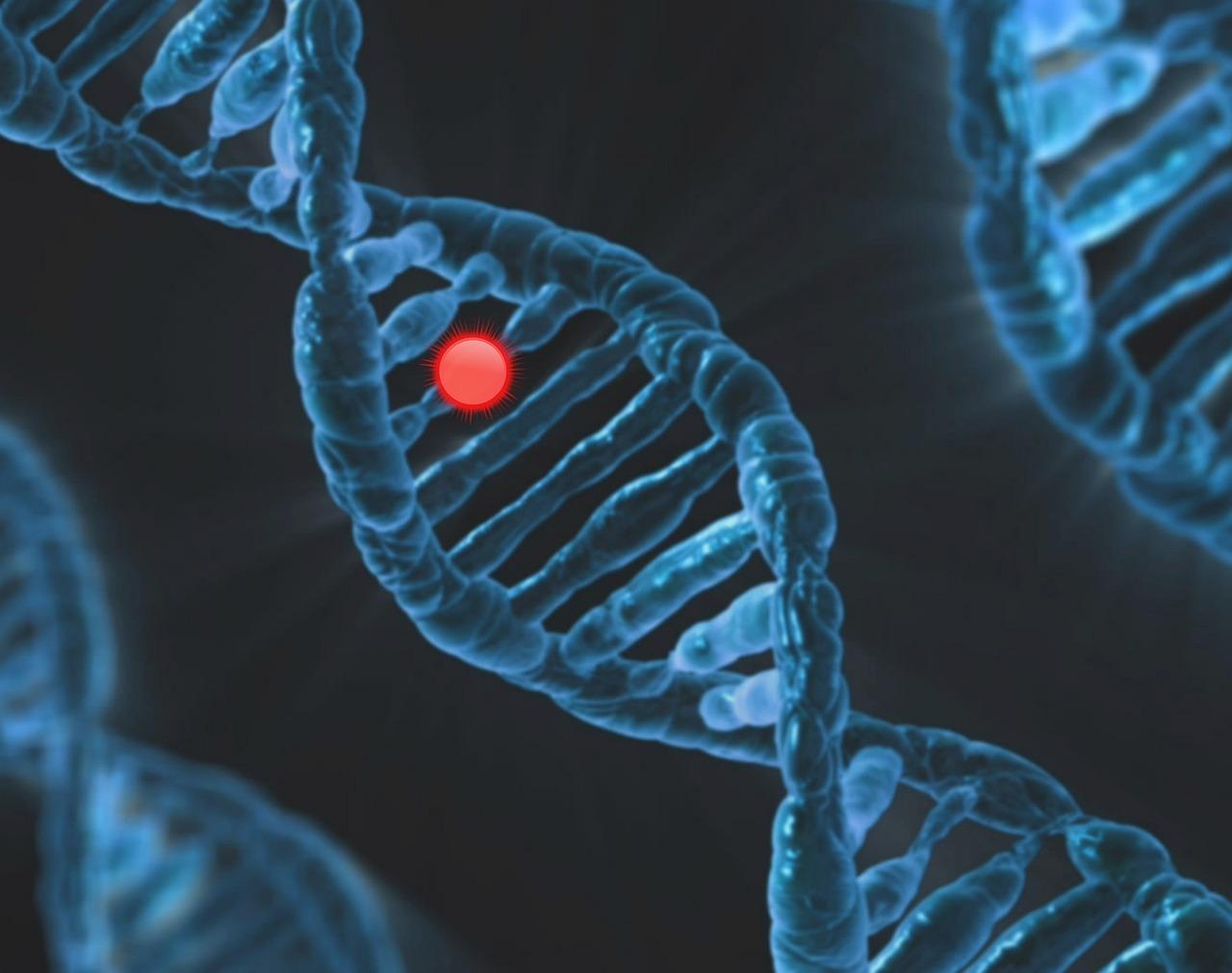 Analýza DNA: najnovší kľúč k zdraviu. Ako vám poznanie génov môže zachrániť život?