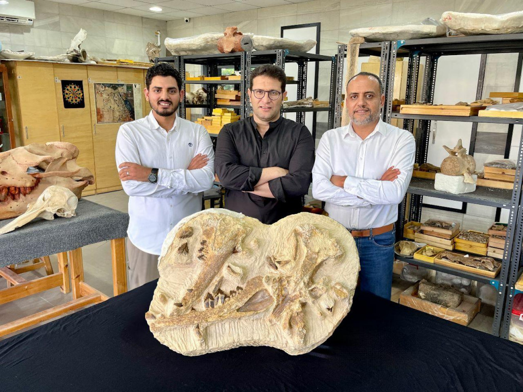 Egyptskí paleontológovia Abdullah Gohar, Mohamed Sameh a Hišám Sallám vedľa fosílie novo identifikovanej veľryby Tutcetus rayanensis. FOTO: Twitter/Hesham Sallam