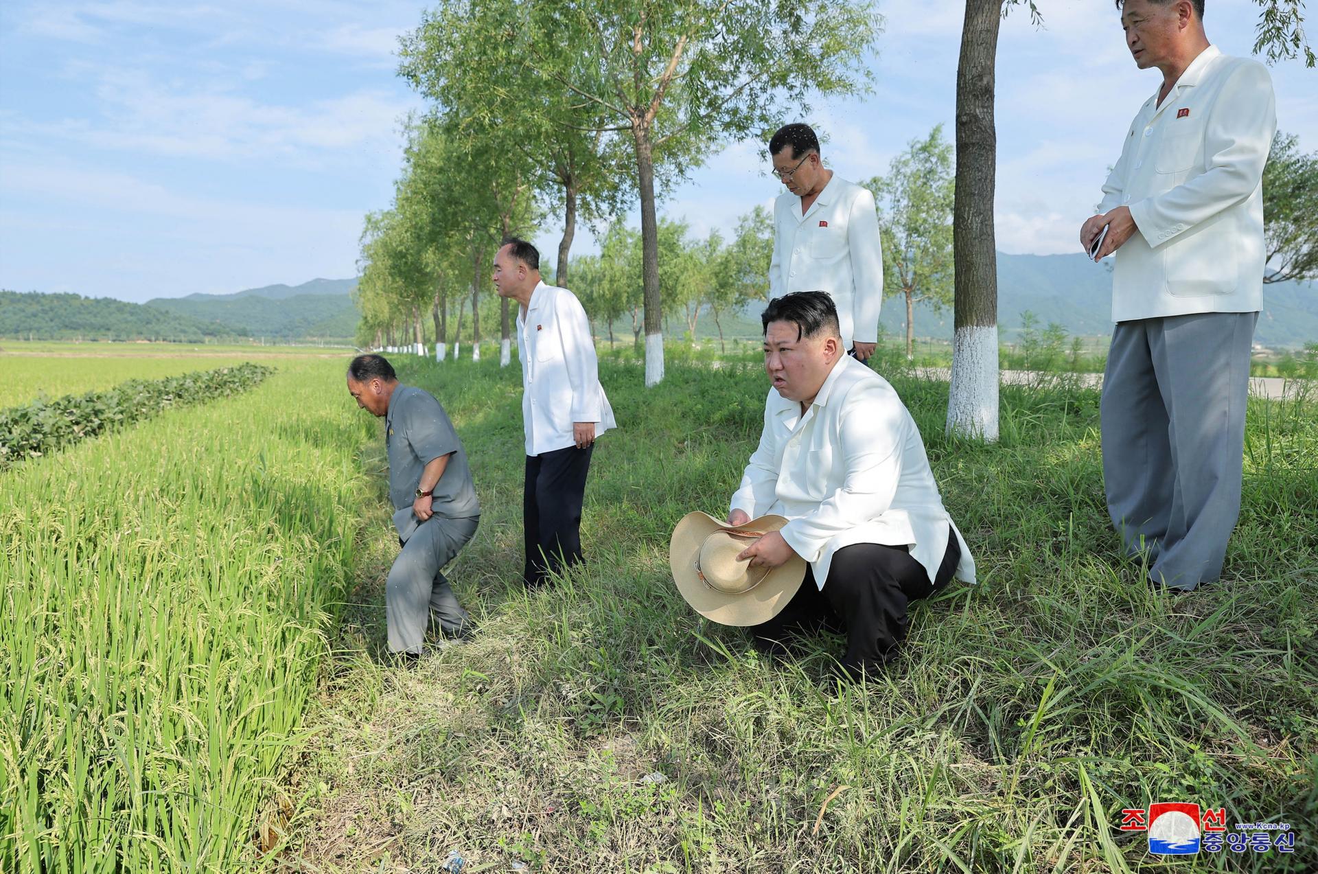Kim Čong-un ocenil pomoc armády pri záchrane úrody zničenej tajfúnom Kchanún