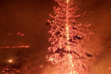 Lesný požiar v Bristkej Kolumbii. FOTO: Youtube@devonspittlereal