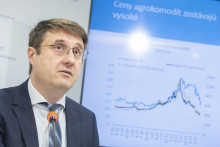 Na snímke riaditeľ Inštitútu finančnej politiky Ministerstva financií Slovenskej republiky Juraj Valachy. FOTO: TASR/Martin Baumann