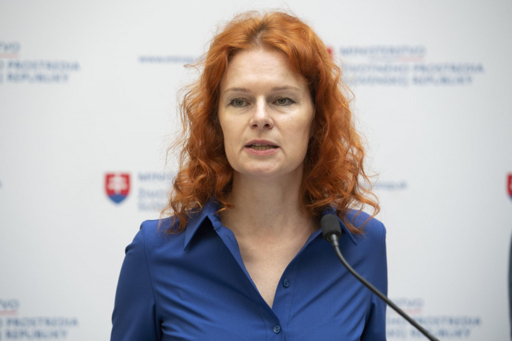 Vicepremiérka pre Plán obnovy a odolnosti a využívanie eurofondov Lívia Vašáková. FOTO: TASR/Pavel Neubauer