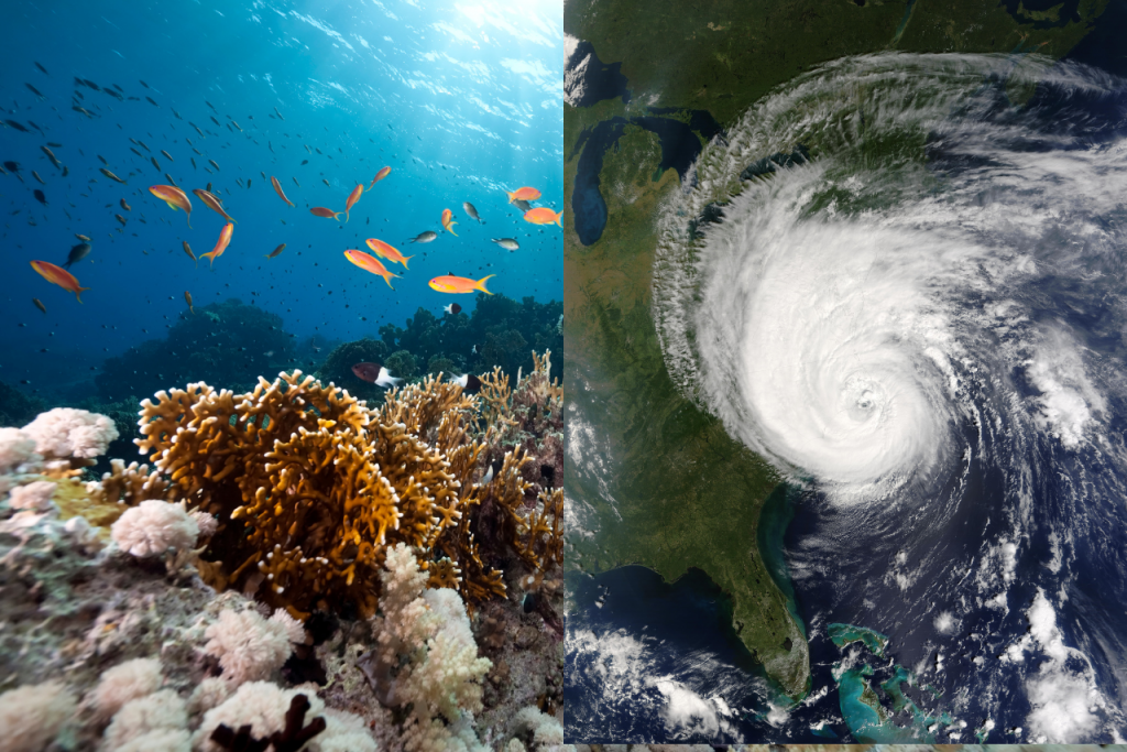 Prečítaj si, čo sa deje v oceáne počas hurikánu