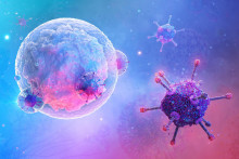 Adaptívna imunitná odpoveď, biele krvinky interagujú s vírusmi, ilustračná fotografia (Téma) SNÍMKA: Shutterstock