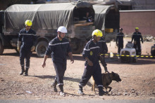 Marocký záchranársky tím so psom vyslaný na hľadanie nezvestných po zemetrasení v zničenej dedine Ouargane pri marockom meste Marrákeš. FOTO: TASR/AP