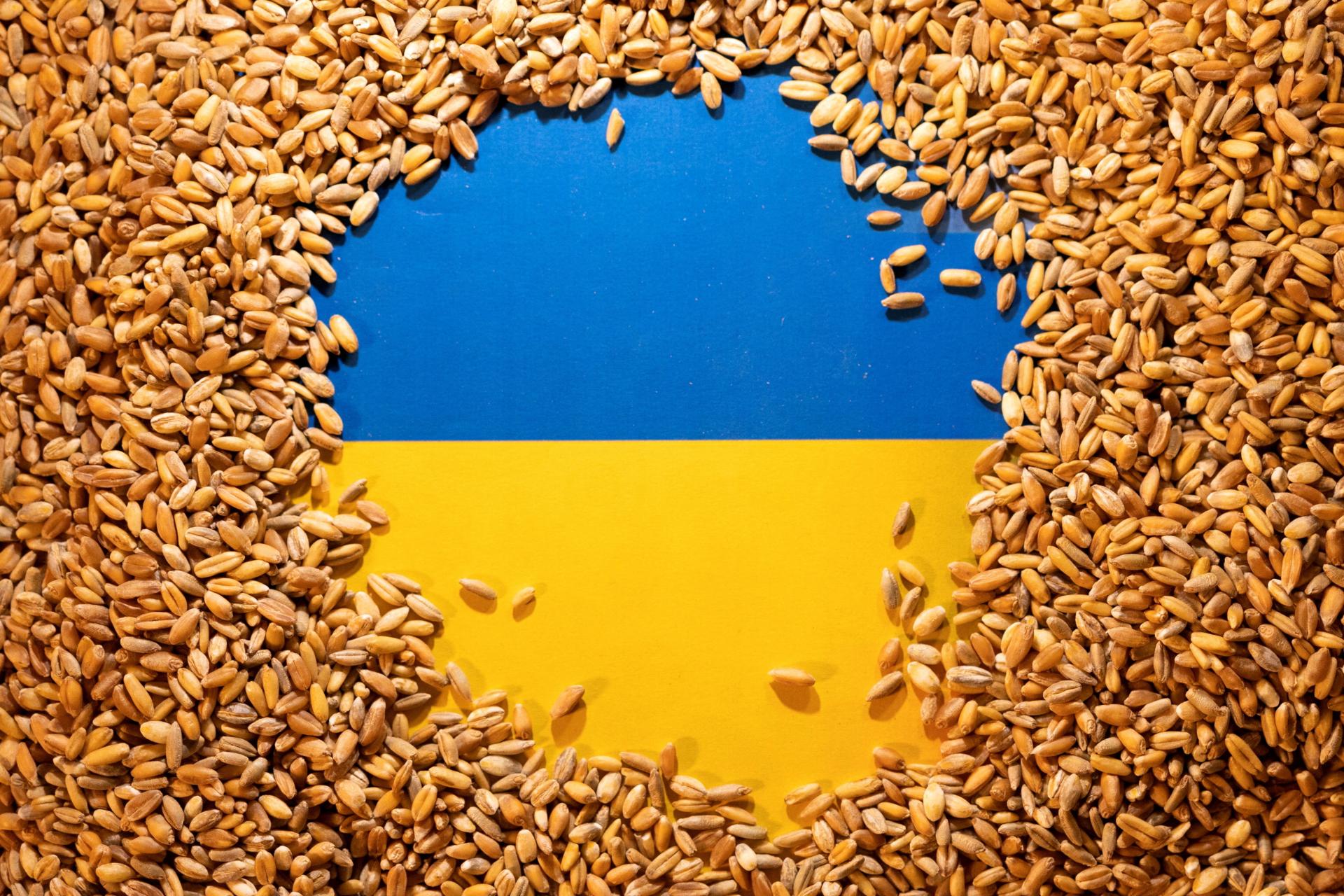 Poľsko jednostranne predĺži zákaz na dovoz ukrajinského obilia. Ukrajina je 