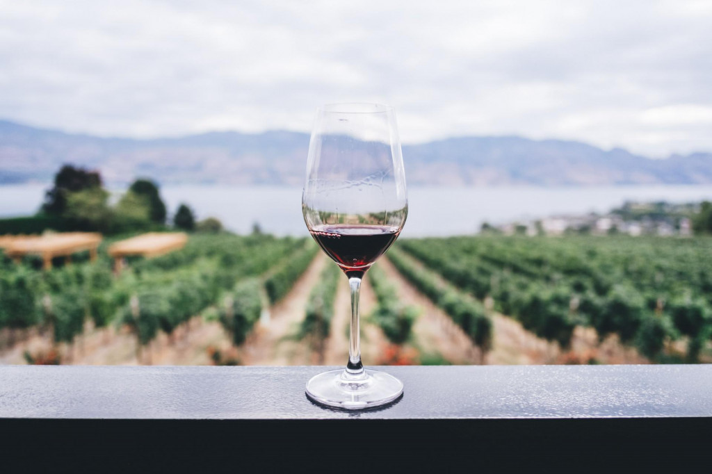 Vedci odhalili pôvod vína
