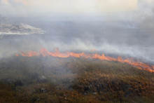 Lesný požiar pri meste Palermo na Sicílii. FOTO: TASR/AP
