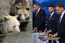 Jednou z tém, ktorá rezonovala počas predvolebnej kampane, boli aj medvede. FOTO: TASR/F. Iván, TV Markíza/M. Lachkovič