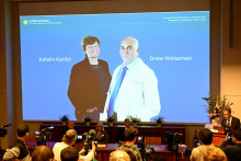 Katalin Karikó a Drew Weissman získali tohtoročnú Nobelovu cenu za fyziológiu a medicínu.