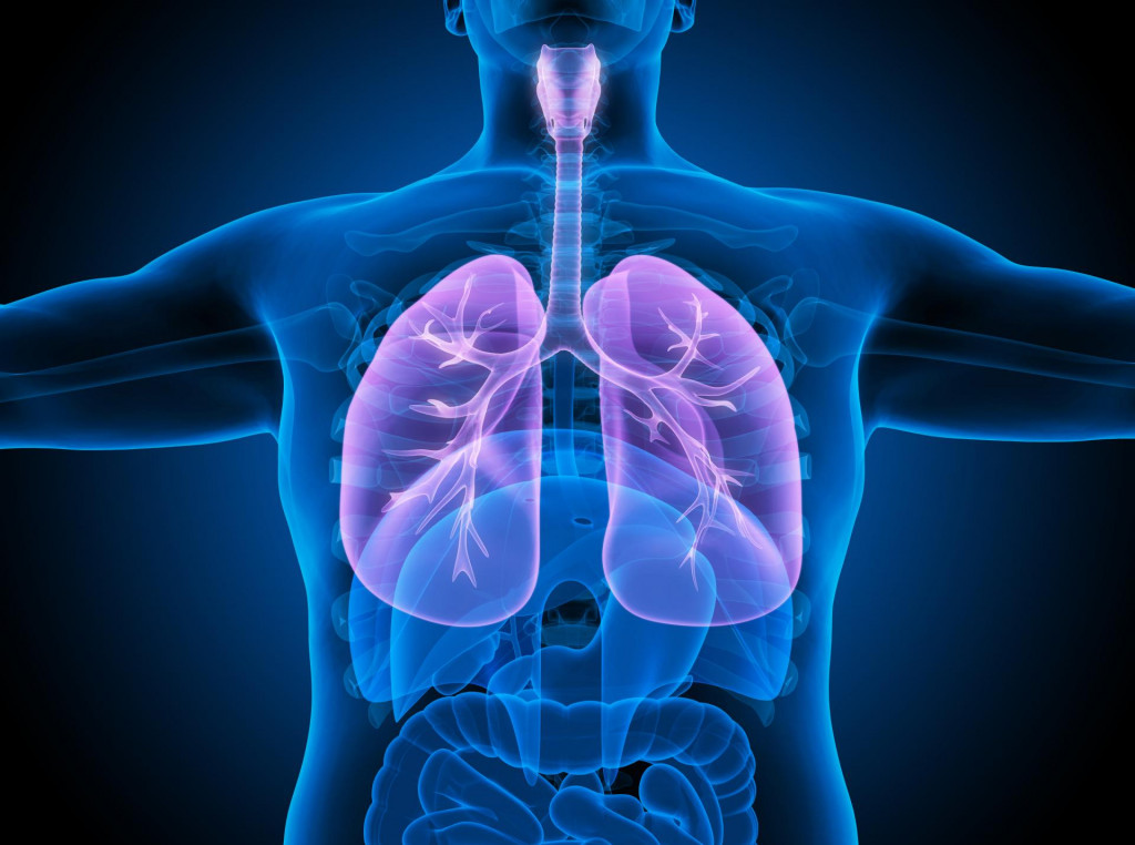 Dôležitá časť tvojho tela bude žiť celé roky po tvojej smrti