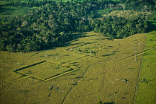 Amazonský prales mohla obývať obrovská civilizácia.