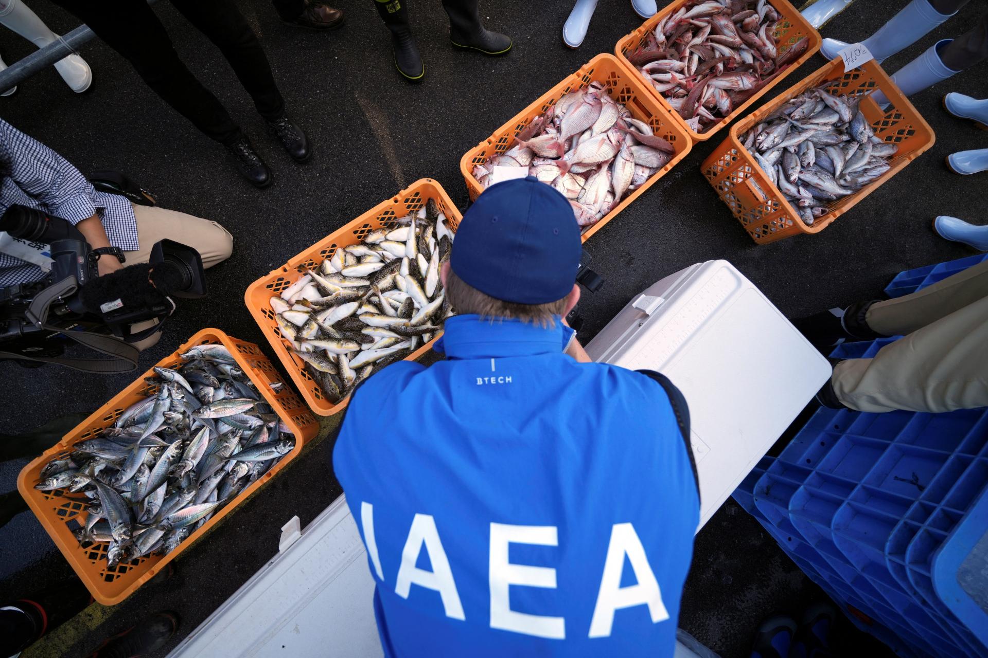 Vedci po vypustení rádioaktívnej vody testujú ryby v okolí Fukušimy. Požiadala o to japonská vláda