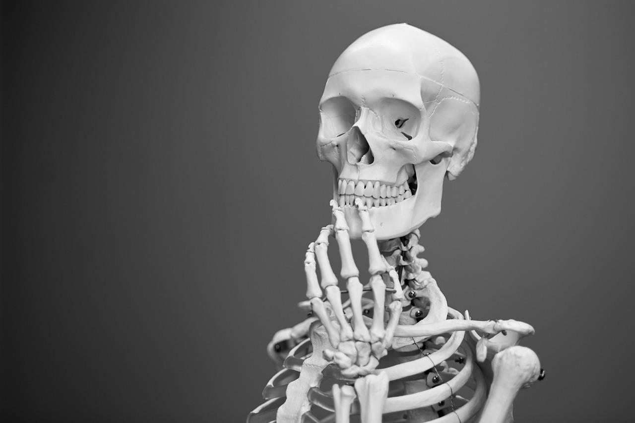 Skrytí ničitelia našej kostry. Ako udržať zdravie kostí?