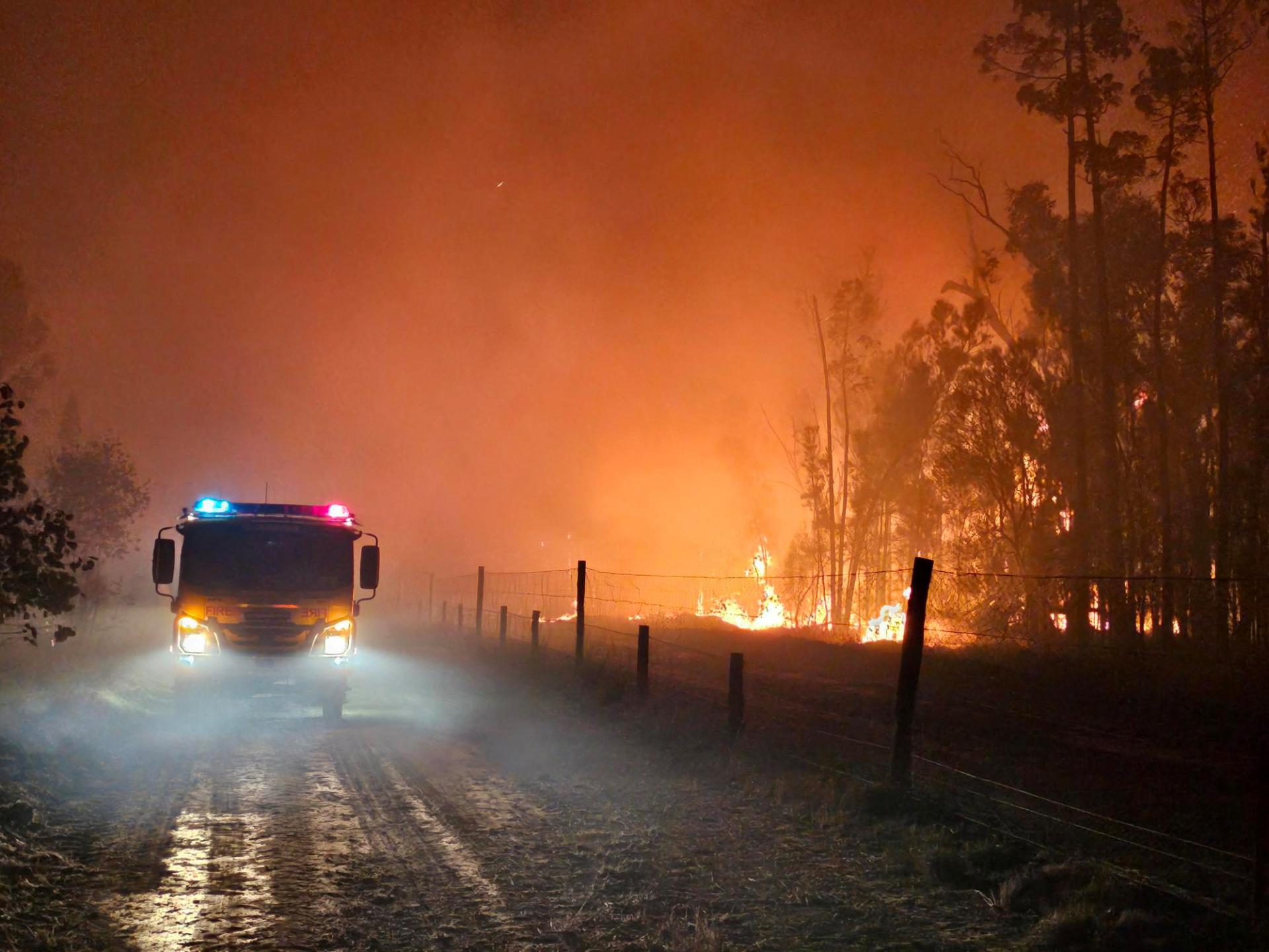 Lesné požiare na východe Austrálie zničili už tisíce hektárov porastov