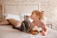 Alergie, astma, ilustračná fotografia (Téma) SNÍMKA: Shutterstock