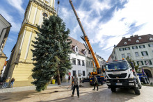 V Bratislave stavajú vianočný strom.