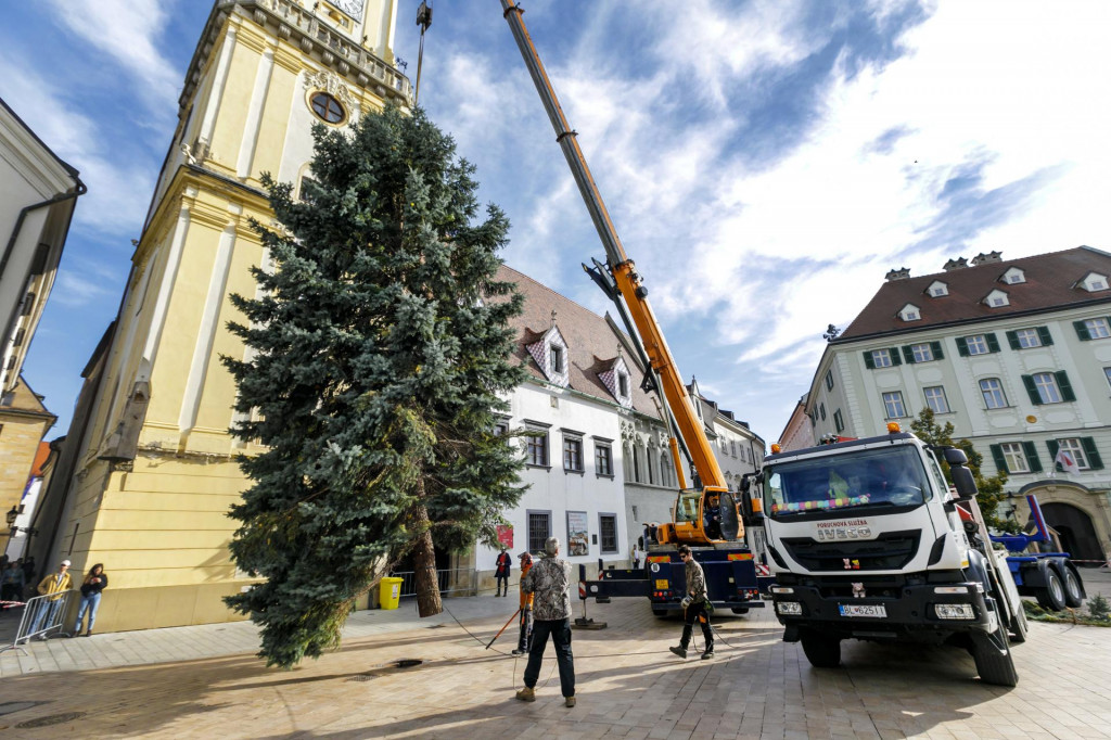 V Bratislave stavajú vianočný strom.