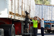 Člen izraelskej colnej jednotky K-9 a pes kontrolujú nákladné auto s humanitárnymi dodávkami smerujúce do Gazy. FOTO: Reuters