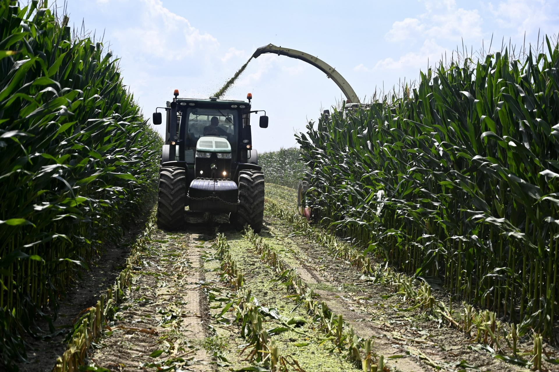 Pasívne saldo slovenského agroobchodu ku koncu augusta prevýšilo 1,5 miliardy eur