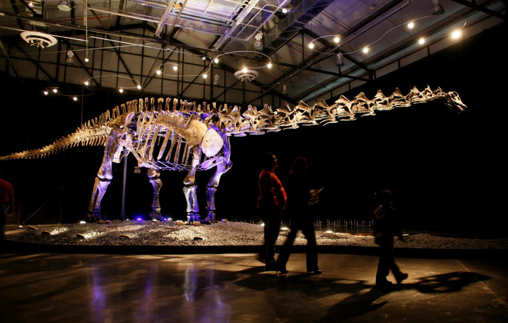 Dinosausy mohli byť príčinou, prečo majú cicavce kratšiu dĺžku života.