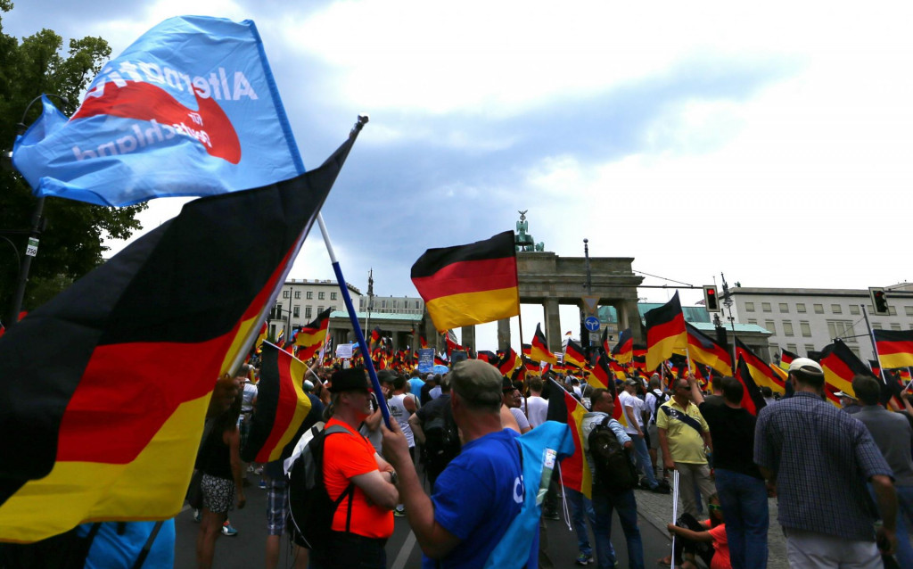 Priaznivci krajne pravicovej AfD na demonštrácii v Berlíne. Strana okrem iného vyjadruje nevôľu voči migrantom. FOTO: Reuters