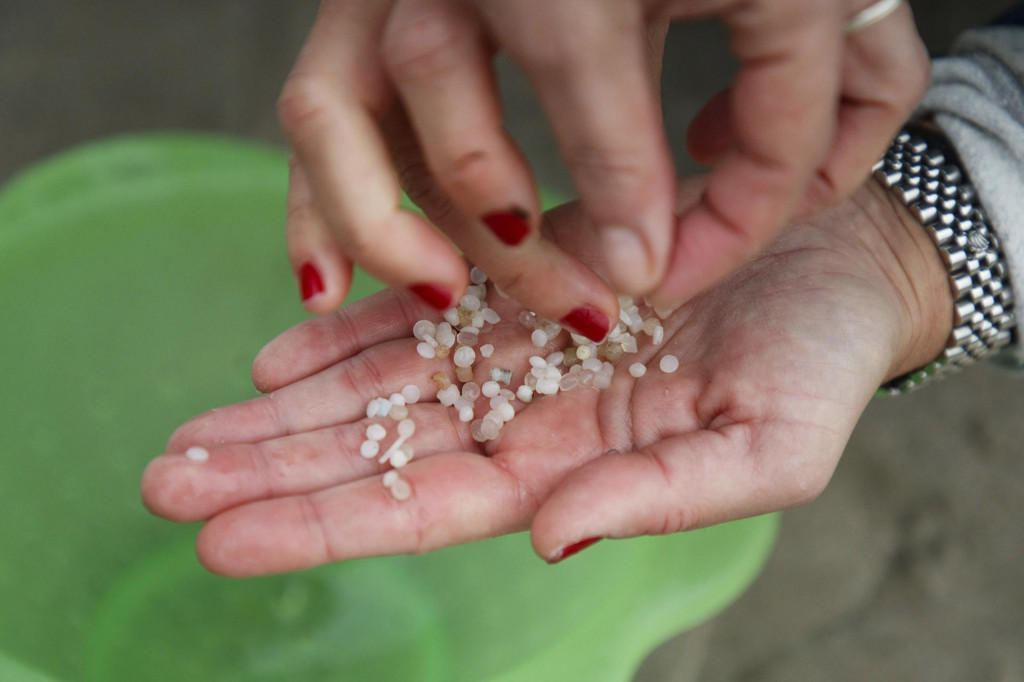 Dobrovoľníčka zbiera plastové pelety z piesočnej pláže v španielskom regióne Galícia. FOTO: TASR/AP