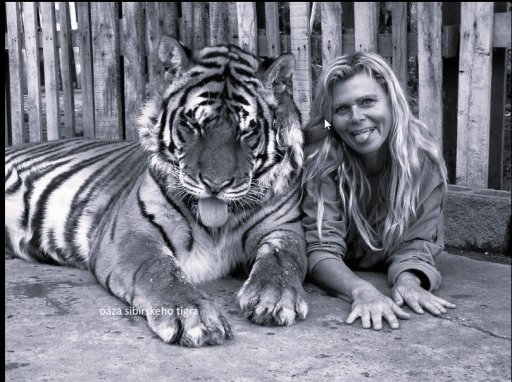 Zakladateľka Oázy Sibírskeho Tigra nečakane zomrela.