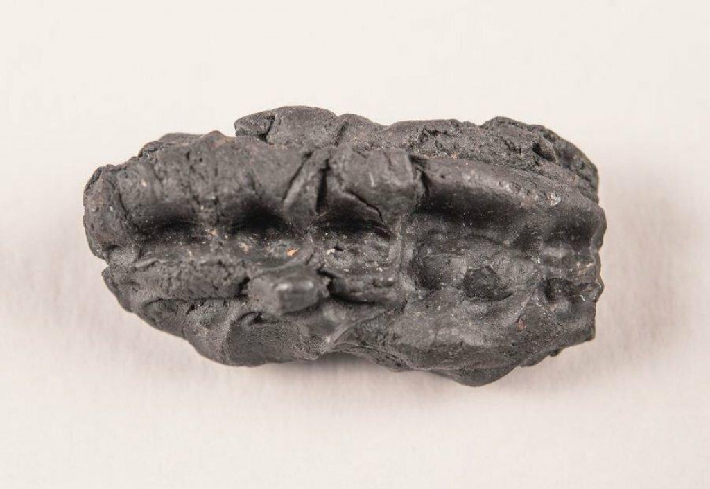 Žuvačky z doby kamennej odhalili tajomstvá pravekej DNA.