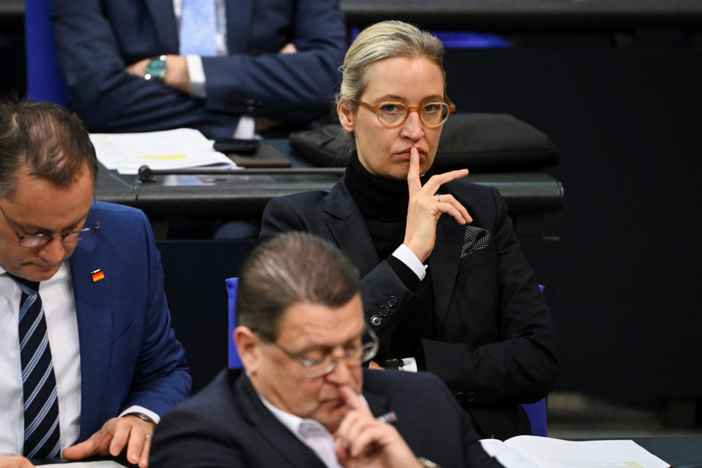 Spolupredsedníčka krajne pravicovej strany Alternatíva pre Nemecko (AfD) Alice Weidelová. FOTO: Reuters