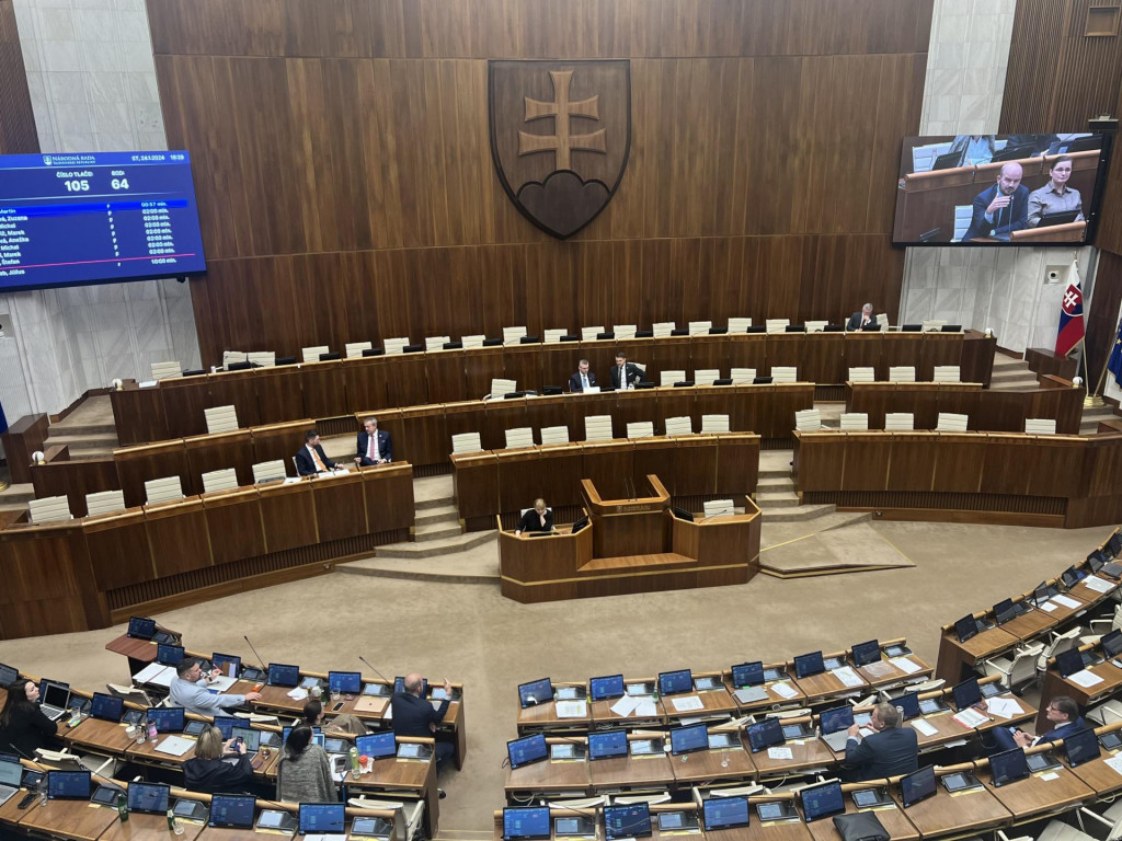 Plénum Národnej rady. FOTO: HN/Kristína Braxatorová