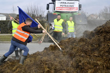 Poľnohospodári z okresu Trebišov zablokovali kruhový objazd v obci Hriadky vysypanou vlečkou hnoja. Z EÚ dostávajú slovenskí farmári cez priame platby ročne 350 miliónov eur. FOTO: TASR/R. Hanc