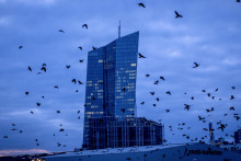 Vrany letia pred Európskou centrálnou bankou v nemeckom Frankfurte nad Mohanom. FOTO: TASR/AP