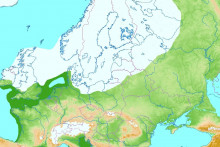 Dosah ľadovca zhruba pred 20-tisíc rokmi. Británia vtedy bola súčasťou pevniny a Doggerland bol zrejme nehostinnou tundrou.