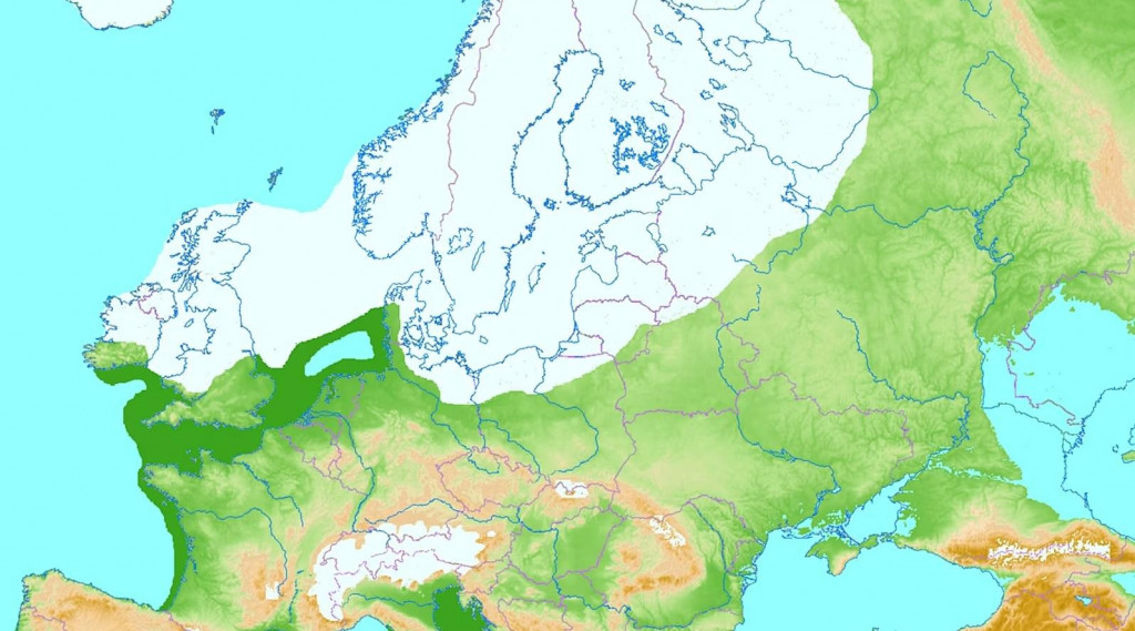 Dosah ľadovca zhruba pred 20-tisíc rokmi. Británia vtedy bola súčasťou pevniny a Doggerland bol zrejme nehostinnou tundrou.