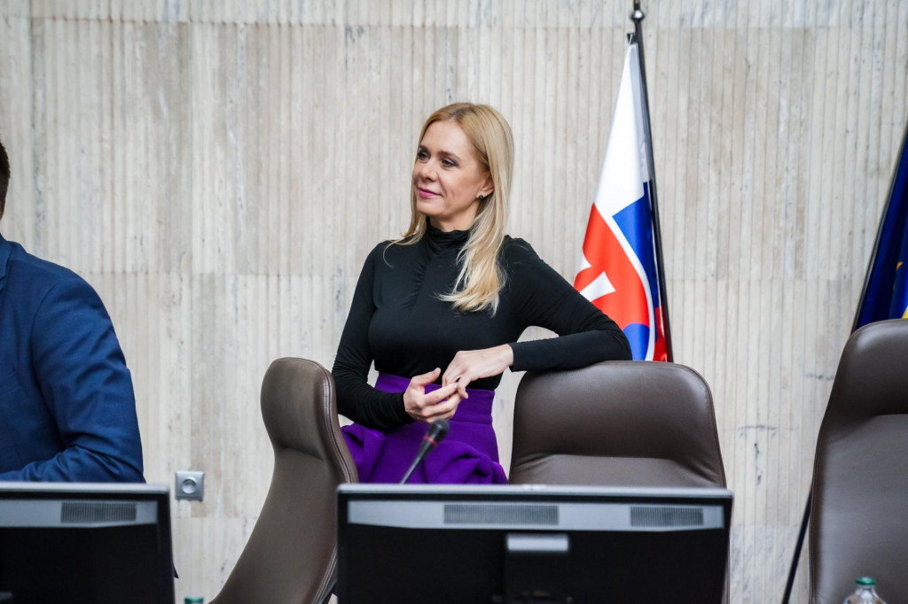 Ministerka hospod&aacute;rstva Denisa Sakov&aacute;. FOTO: &Uacute;rad vl&aacute;dy SR