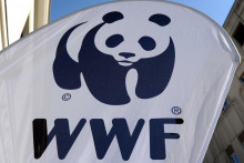 Logo Svetového fondu na ochranu prírody v Berlíne. FOTO: TASR/DPA