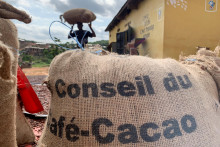 Veľká zdraženie nastalo v posledných týždňoch v prípade cien kakaa. FOTO: REUTERS