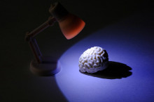 Podľa štúdie sa za posledných 75 rokov ľudský mozog zväčšil.