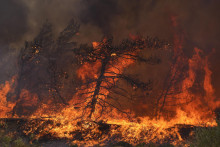 Na archívnej snímke z 25. júla 2023 plamene počas lesného požiaru na gréckom ostrove Rhodos
