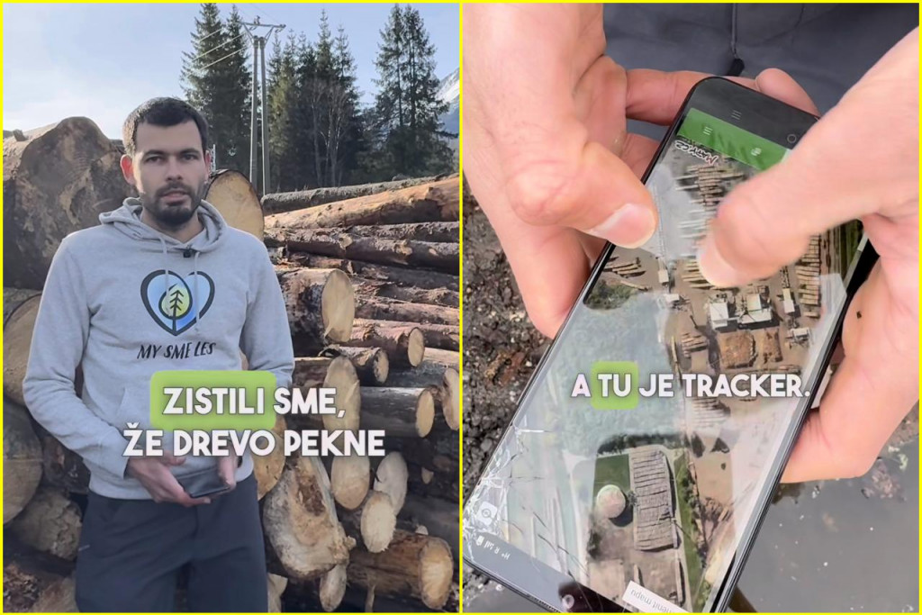 Iniciatíva My sme les zistila, kde končí drevo vyťažené v Tatranskom národnom parku.