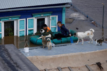 Miestni obyvatelia sa plavia na nafukovacom člne cez zatopený dvor svojho domu v Orenburgu, aby nakŕmili psov uviaznutých na streche. FOTO: Reuters