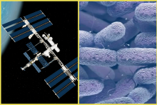 NASA našla vo vesmíre zmutované baktérie.