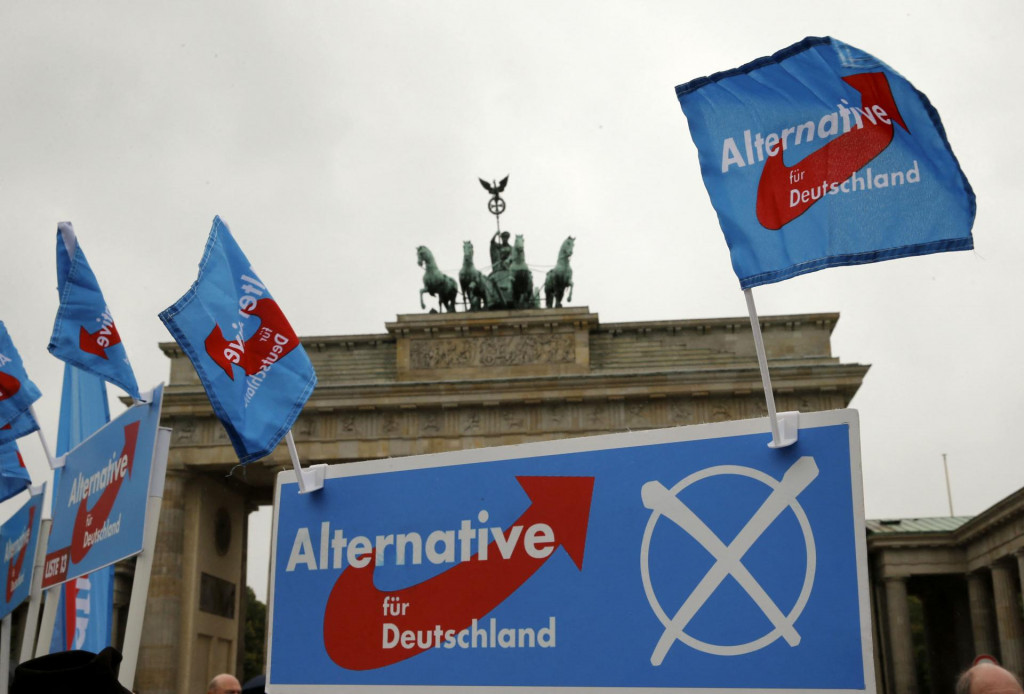 Vlajky eurokritickej strany Alternatíva pre Nemecko dvíhajú stúpenci pred Brandenburskou bránou počas mítingu predvolebnej kampane. FOTO: Reuters