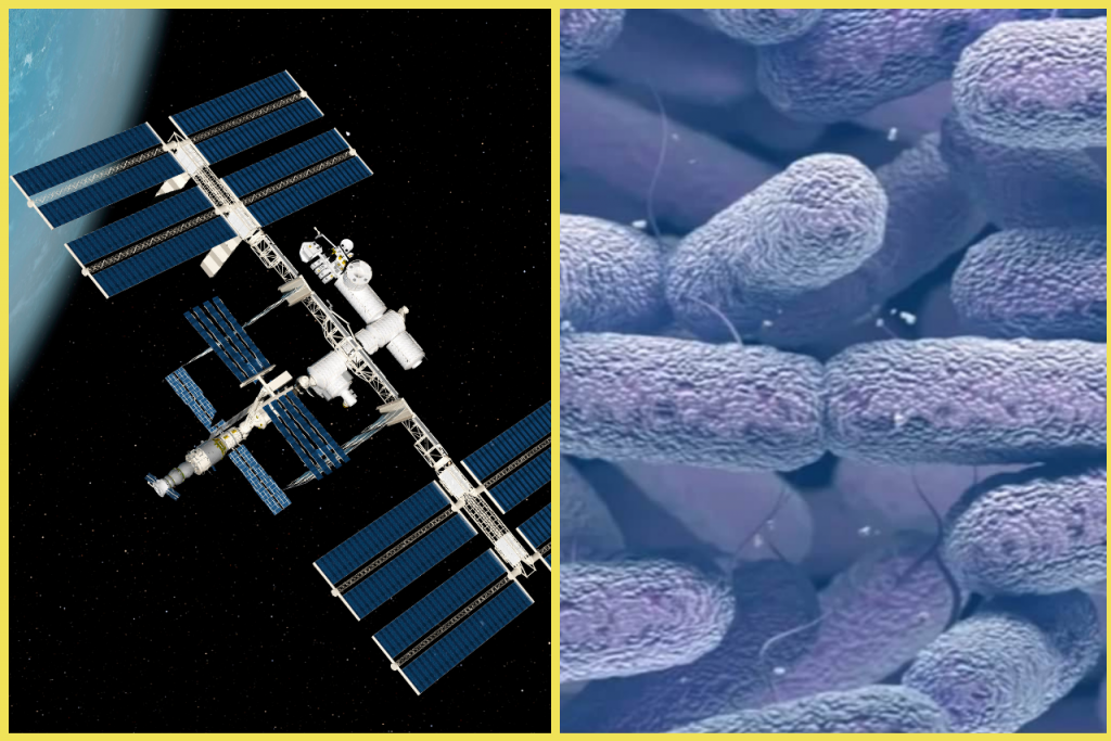 NASA našla vo vesmíre zmutované baktérie.
